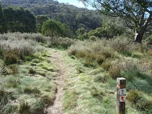 Bridle Loop Flat