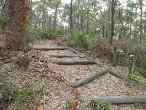 North of Erina Trig