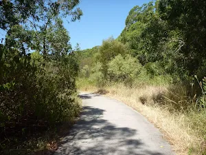 Footpath near Green Point Drive in Green Point Reserve