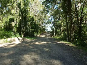 Yuelarbah Managment Trail