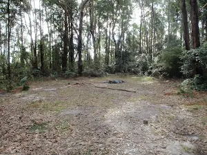 Mt Warrawolong rest area
