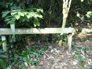 Rain Forest sign in the Blackbutt Reserve