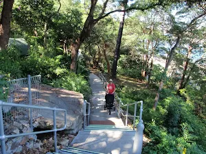 Steps in Cremorne Reserve