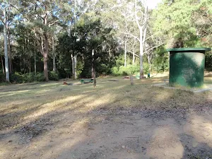 Watagan Forestry HQ campsite