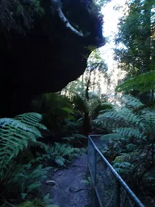 Neates Glen