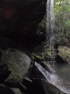 Springwood to Martins Falls