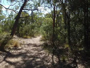 Int of OGNR and 3 Mile trail
