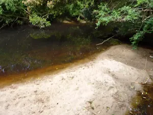 Sandy beach on Lane Cove River near Avondale Creek