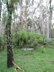 Blue Gum Forest sign