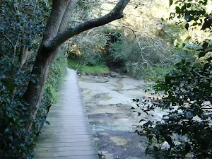 Fishers Bay Track