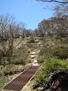 A well maintained Track