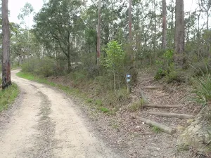 Int of Mouat and Toomeys Rd Trails