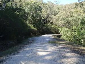 Along the trail