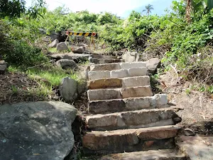 Repaired section of steps