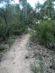 Jack Evans track