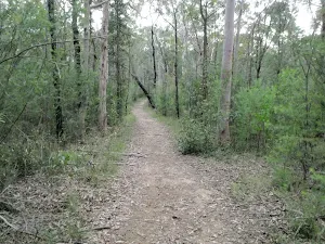 Track to Pisgah Rock