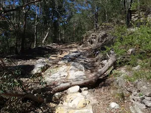 Rocky section of the OGNR