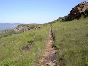Valley View track