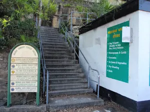 Steps behind Mosman Wharf