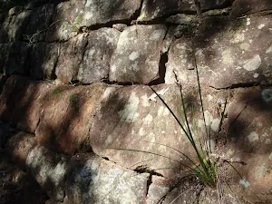 Interesting rock work