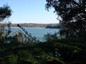 View from Manly Scenic Walk