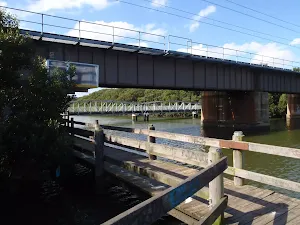 the salt pan creek boardwalk crossing under the railway bridge