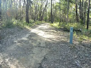 Perimeter Trail near Terrey Hills