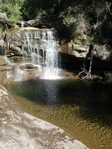 Evans Lookout, Horse Track to Beauchamp Falls