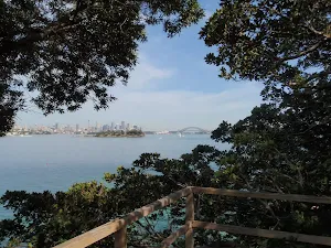 Lookout from the back of Strickland House