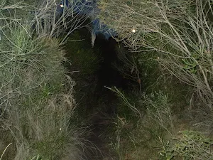 Track betwen the Squeeze way and Burning palms