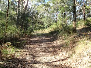 Walking along split rock management trail
