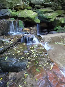 Somersby Falls - bottom falls