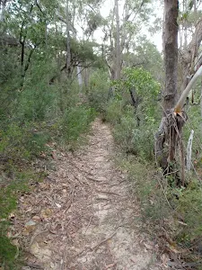 Track above Glenbrook Gorge