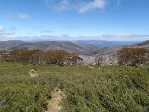 Looking down along the Dead Horse gap track
