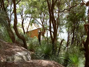 Track above Mackerel houses