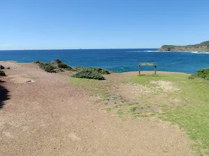 Snapper Point