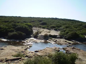 Coast Track over a creek