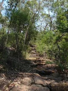 Steps on Sphinx Walking track