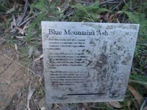 Information Sign