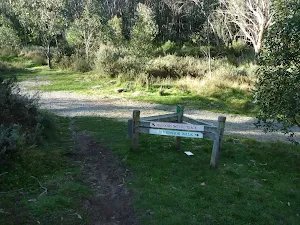 Int of the Golf Course Walk and Meadows Link trail