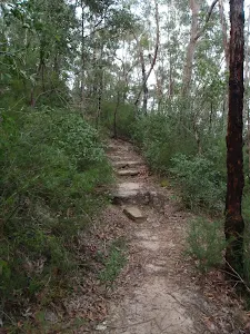 Track up to Lawsons Lookout