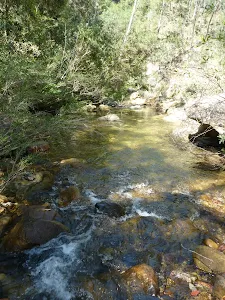 Jamison Creek