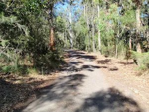 Walking up to the Ridge Trail track head