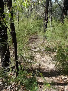 Track to Lost Worlds Lookout