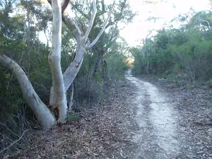 A nice scene along the Topham track
