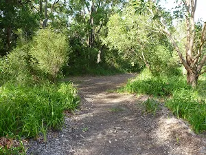 Track intersection on the Galgabba Point walk.