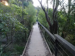 Manly Scenic Walkway