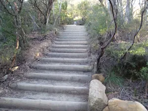 Track near top of  Wentworth Falls