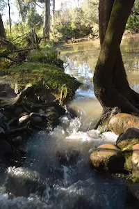 Rouse Hill
