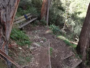 passing another bench